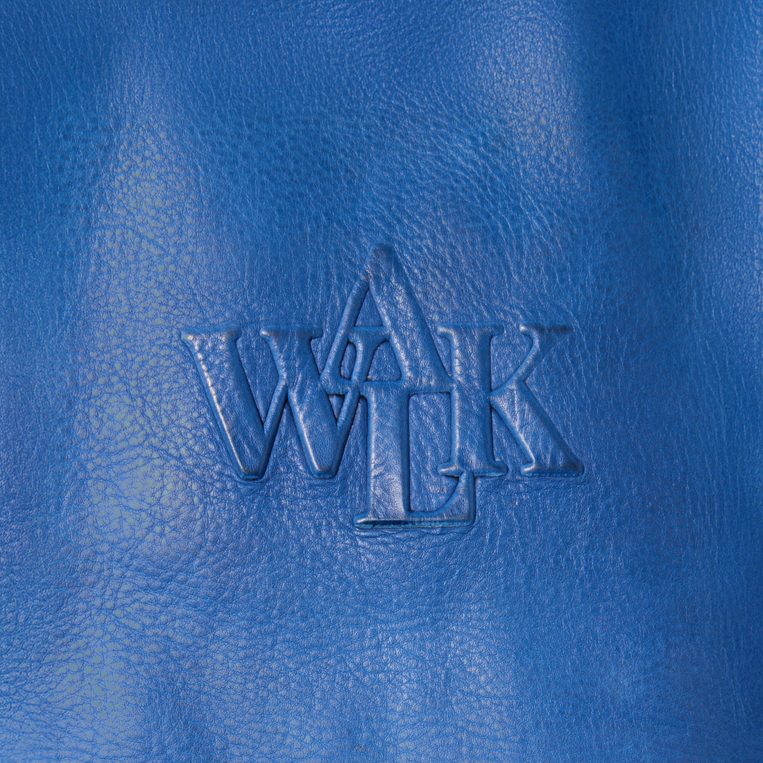 Walk in Paris X Schott NYC ® - Flight jacket bleu