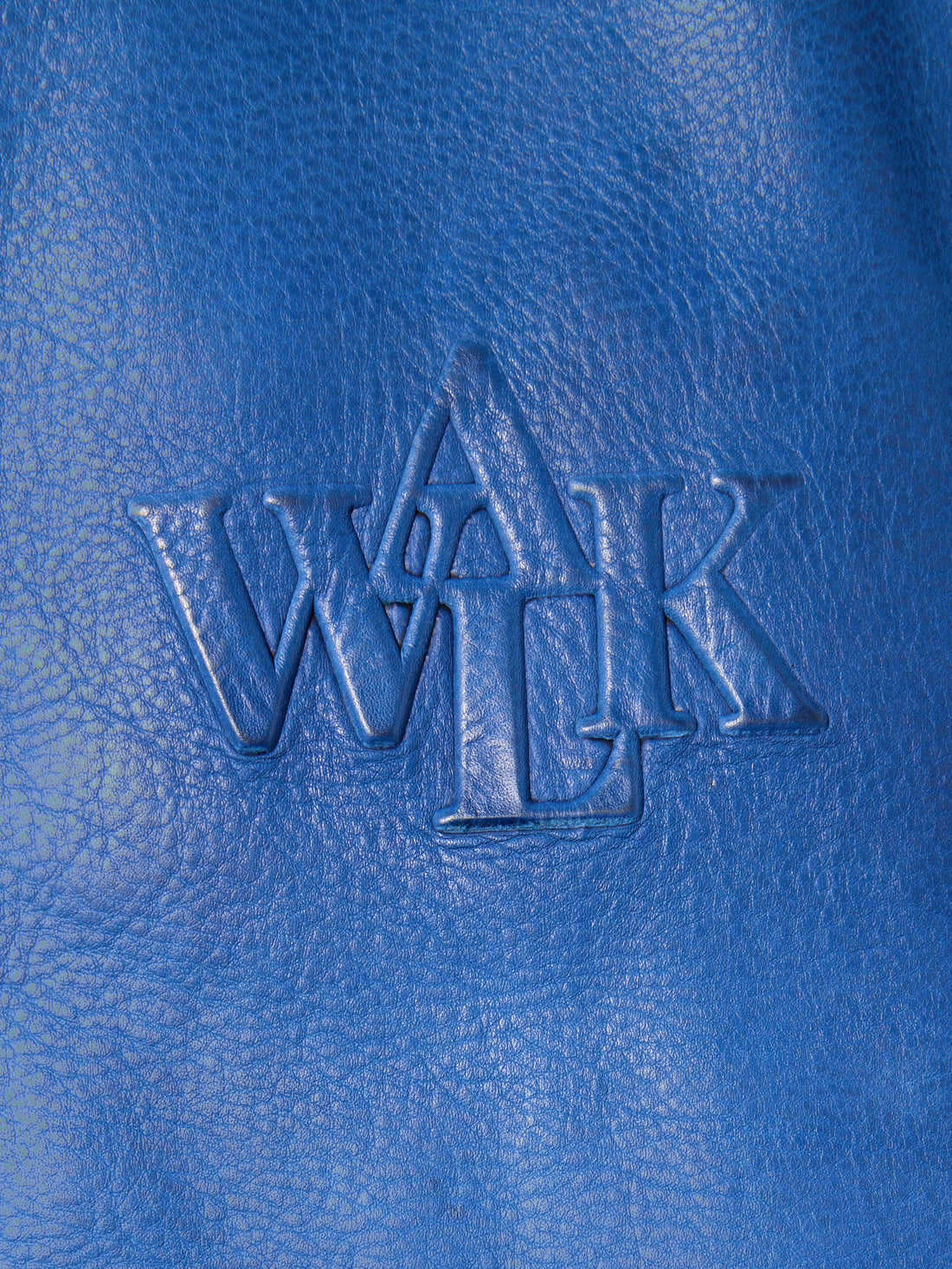 Walk in Paris X Schott NYC ® - Flight jacket bleu